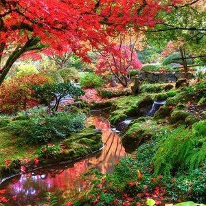 Meet your Posher, Rahimi